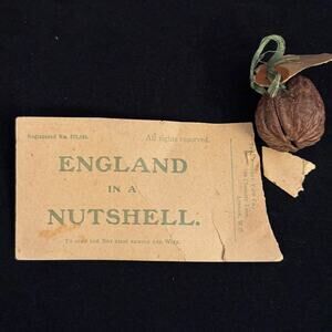 England in a Nutshell 1900's Actual Postcard & Hinged Nut w/ Roll of Photos